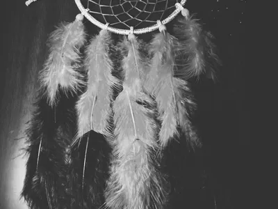 Dreamcatcher